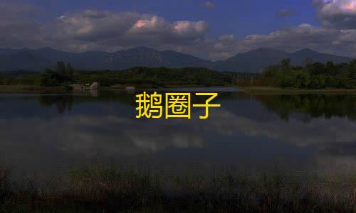 免费发卡网平台鹅圈子